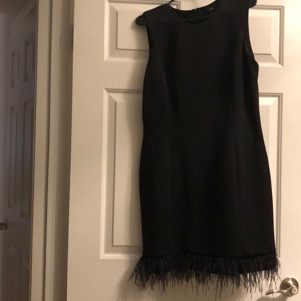 Black Dress with feather skirt